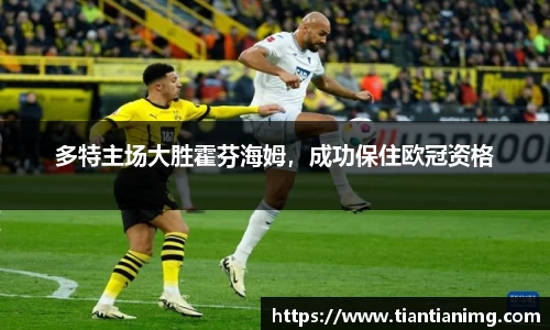 bsports官网