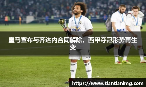 B体育bsports