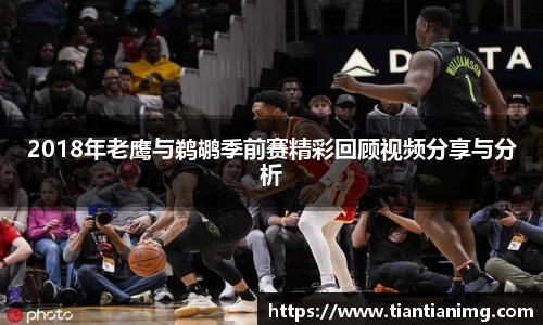bsports官网入口