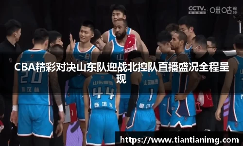 bsports官网入口