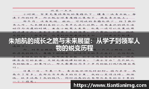 B体育官网