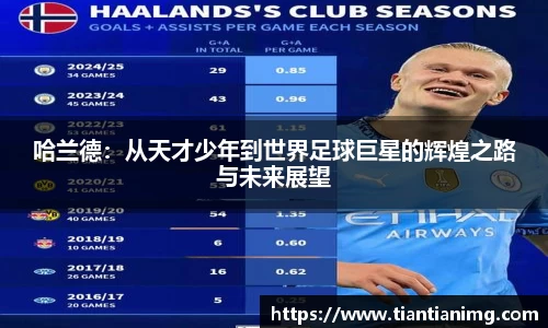 B体育bsports