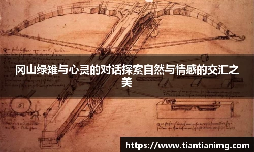 bsports官网入口