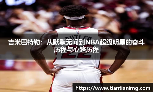 B体育bsports