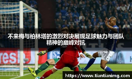 bsports官网入口