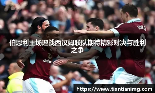 bsports官网入口