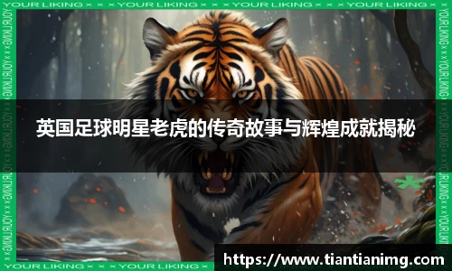 bsports官网入口