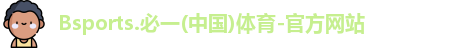 B体育官网